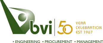 BVI CONSULTING